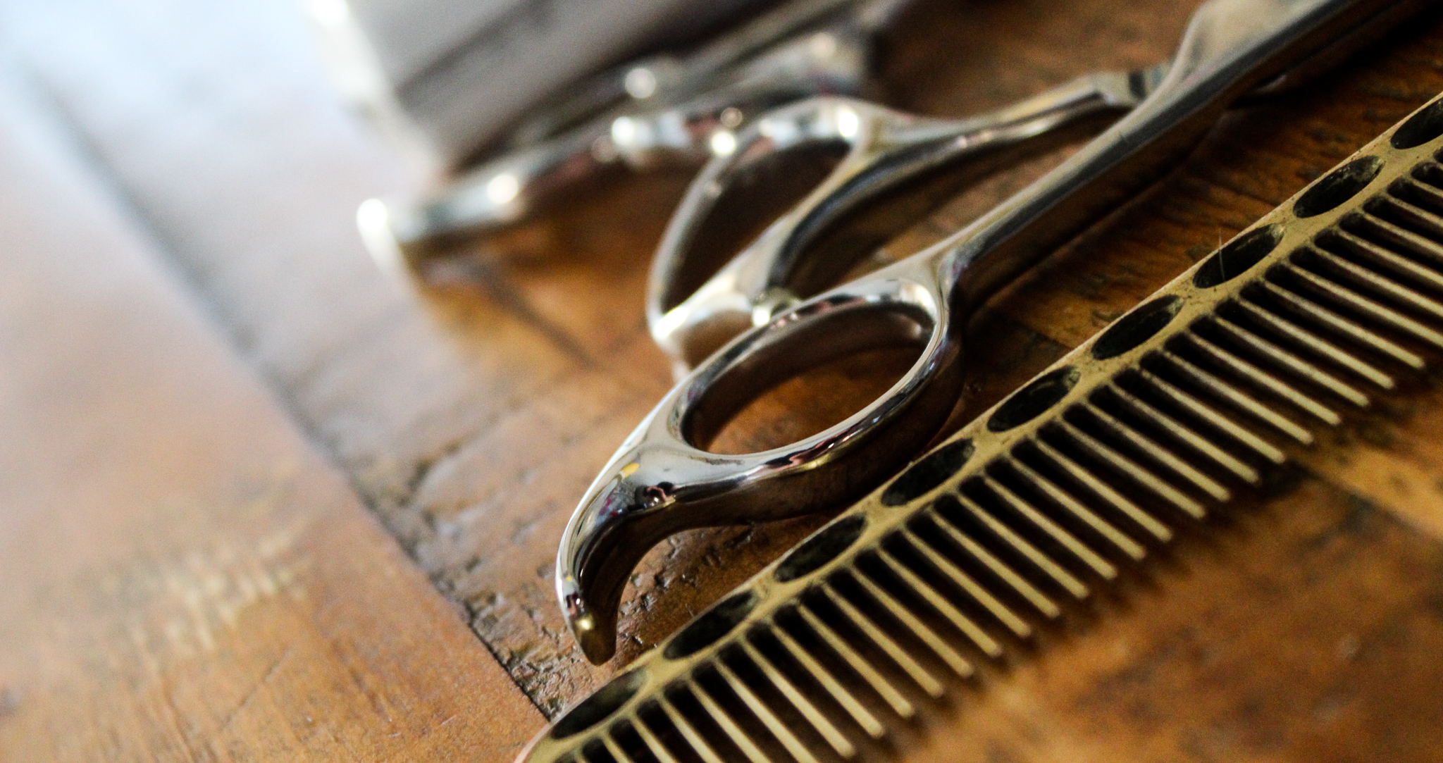 Holdfast Holdfast Belfast