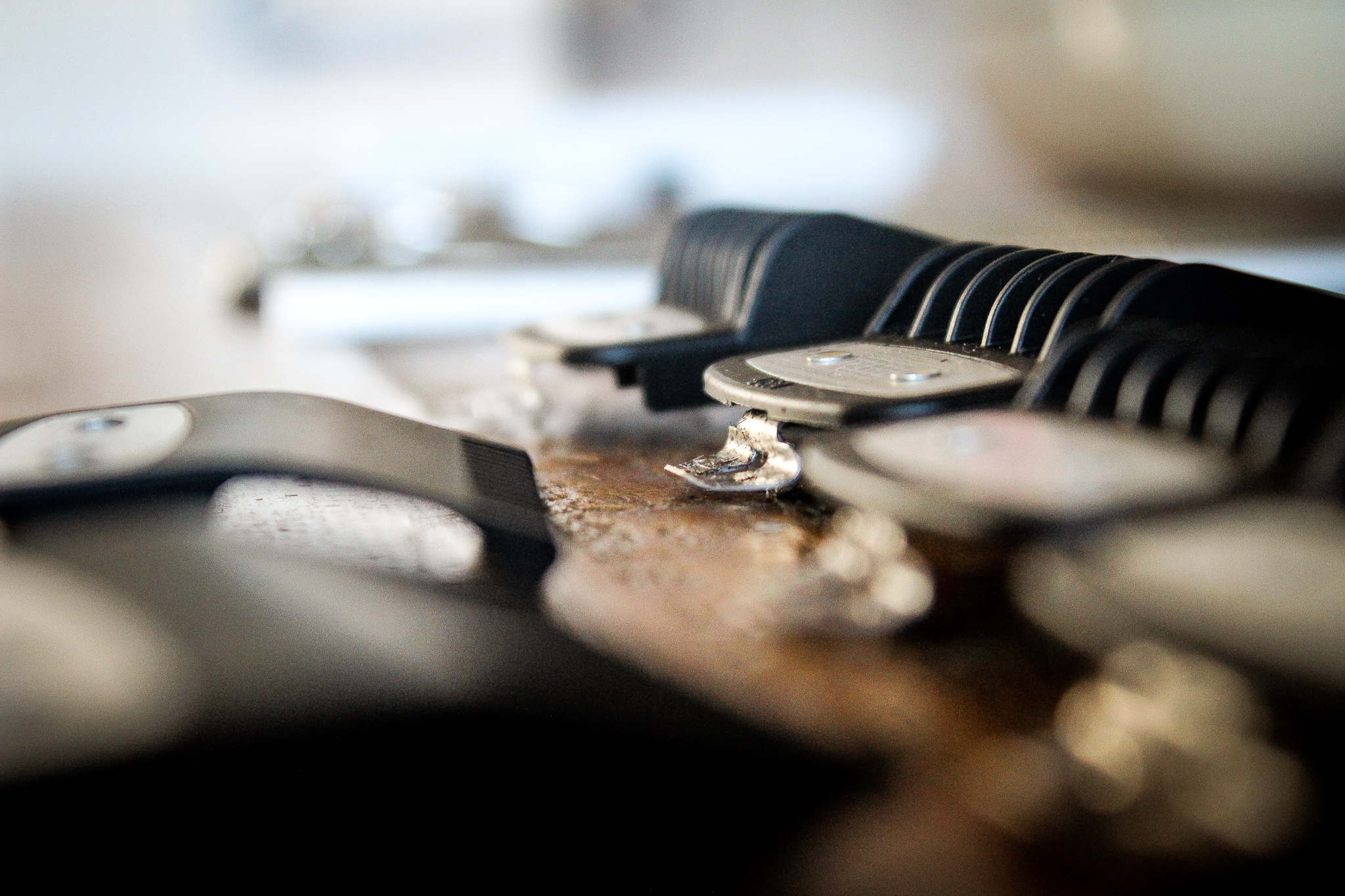 Holdfast Holdfast Belfast